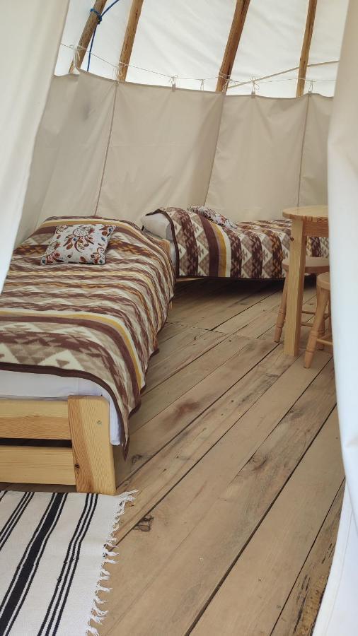 Glamping Wild Nature Luxuszelt